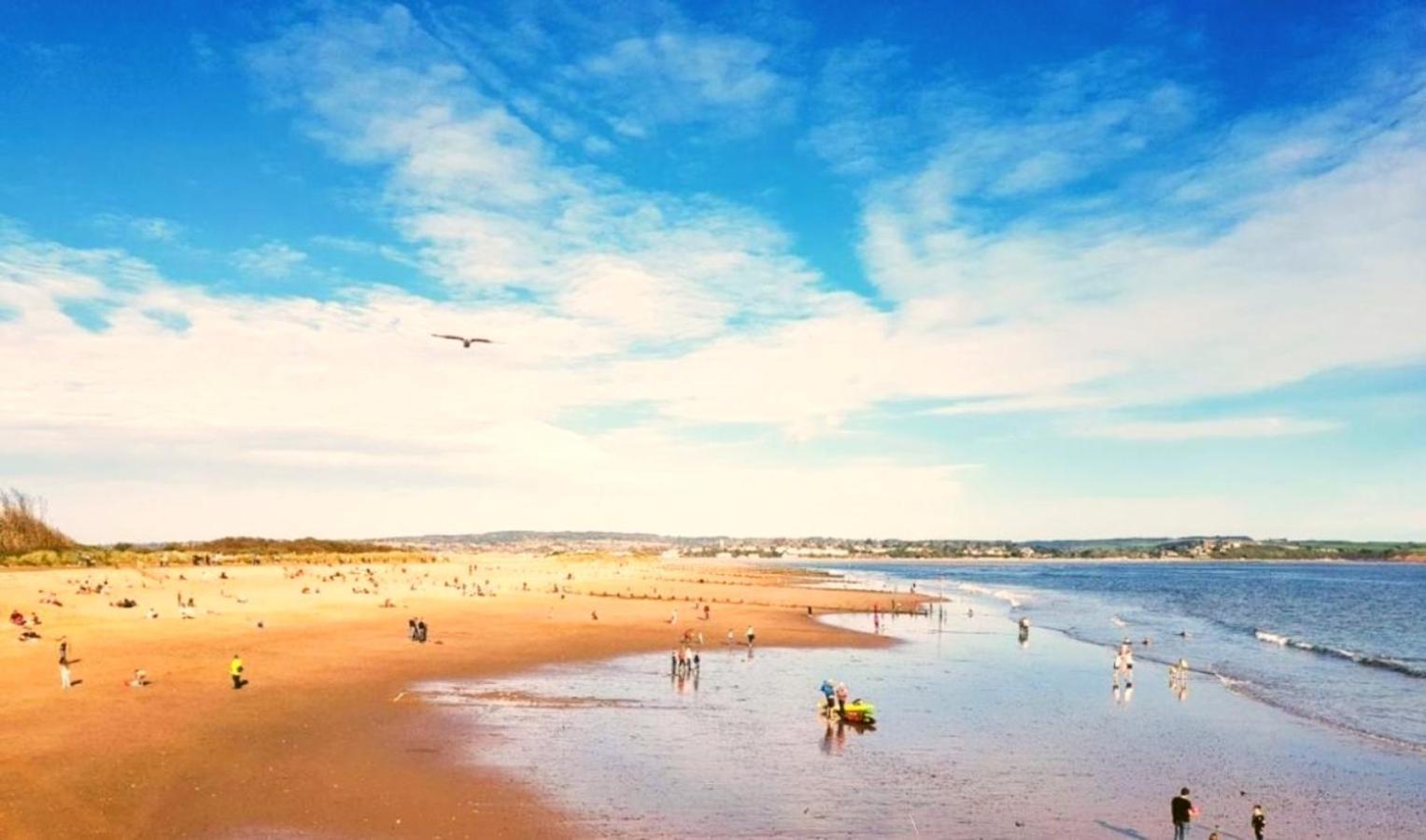 Hillside Caravan Dawlish Buitenkant foto